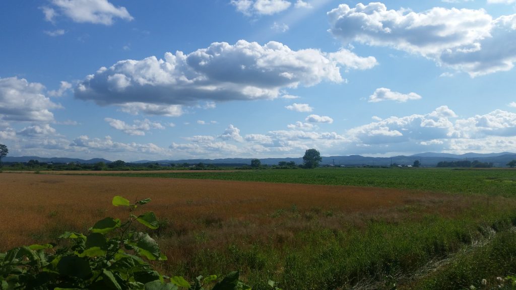 20160720_152902